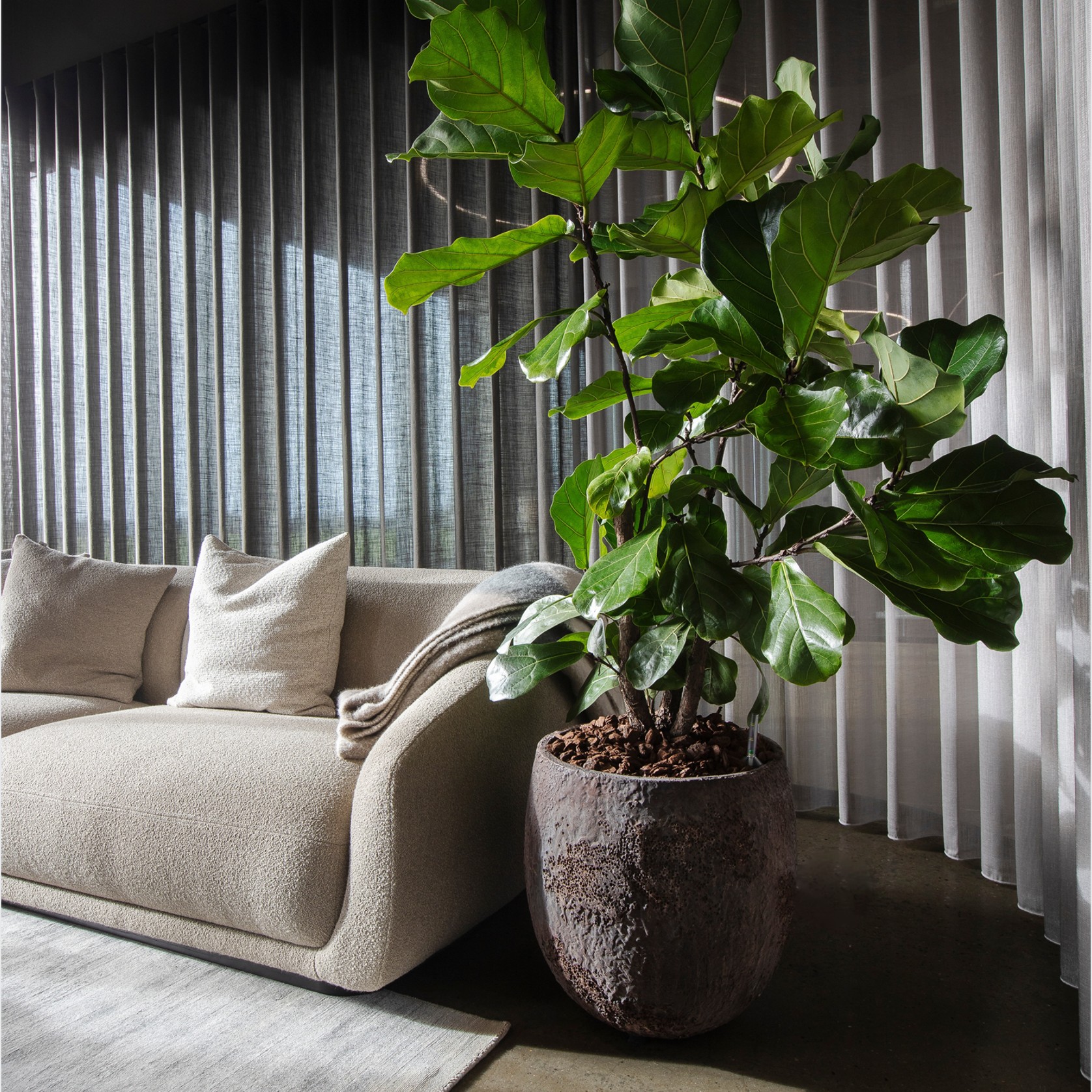 Montholon Sofa Series gallery detail image