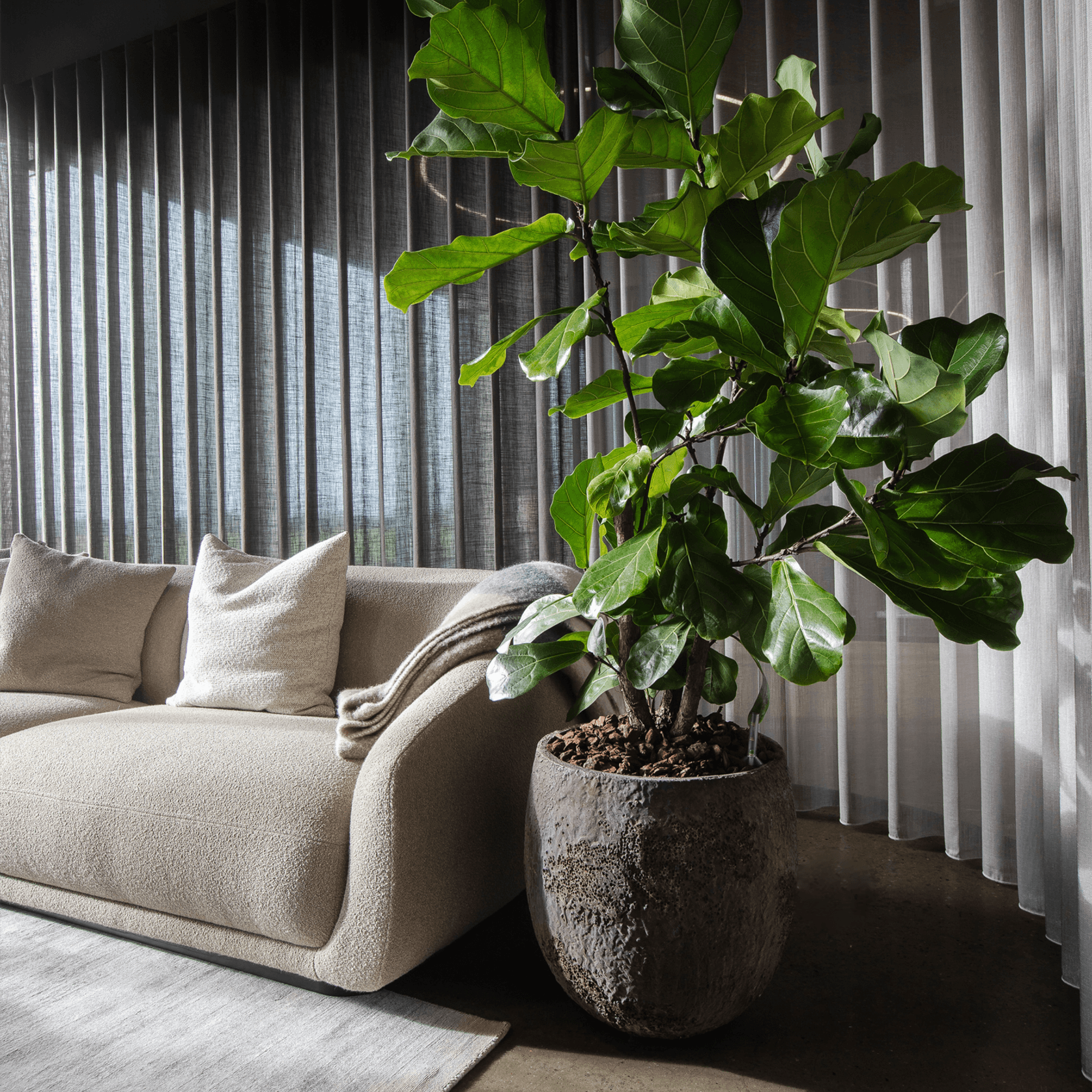 Montholon Sofa Series gallery detail image