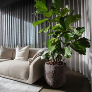 Montholon Sofa Series gallery detail image