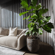 Montholon Sofa Series gallery detail image