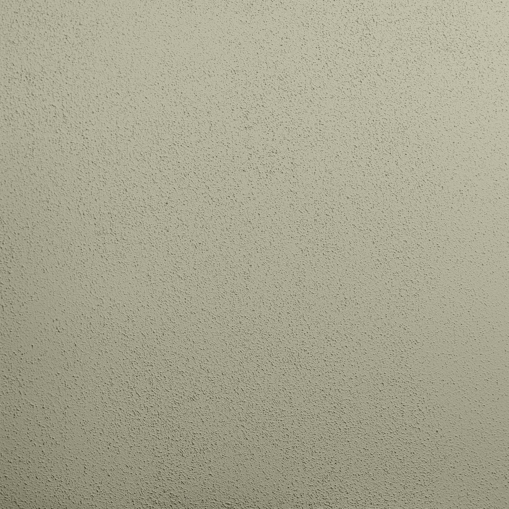 Render Paint Flat | Roll On  gallery detail image