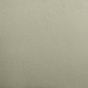 Render Paint Flat | Roll On  gallery detail image