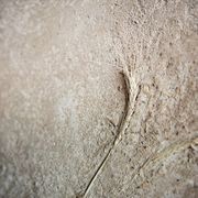 Earthen Render Coarse | Natural Materials gallery detail image