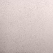 Render Paint Flat | Roll On  gallery detail image