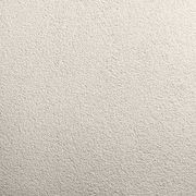 Tuscany Trowel On Coarse | Painted Textures gallery detail image