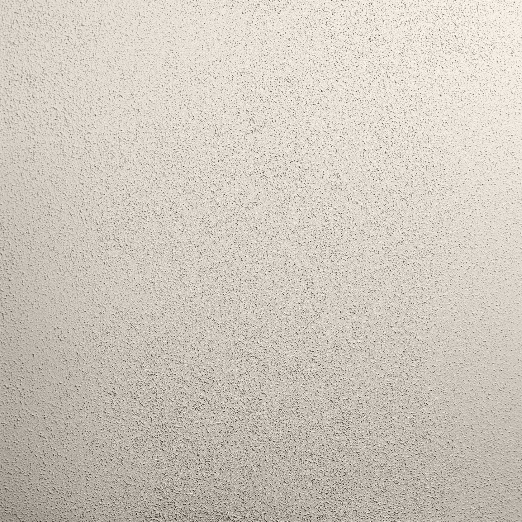 Render Paint Flat | Roll On  gallery detail image