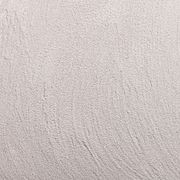 Render Paint Flat | Roll On  gallery detail image