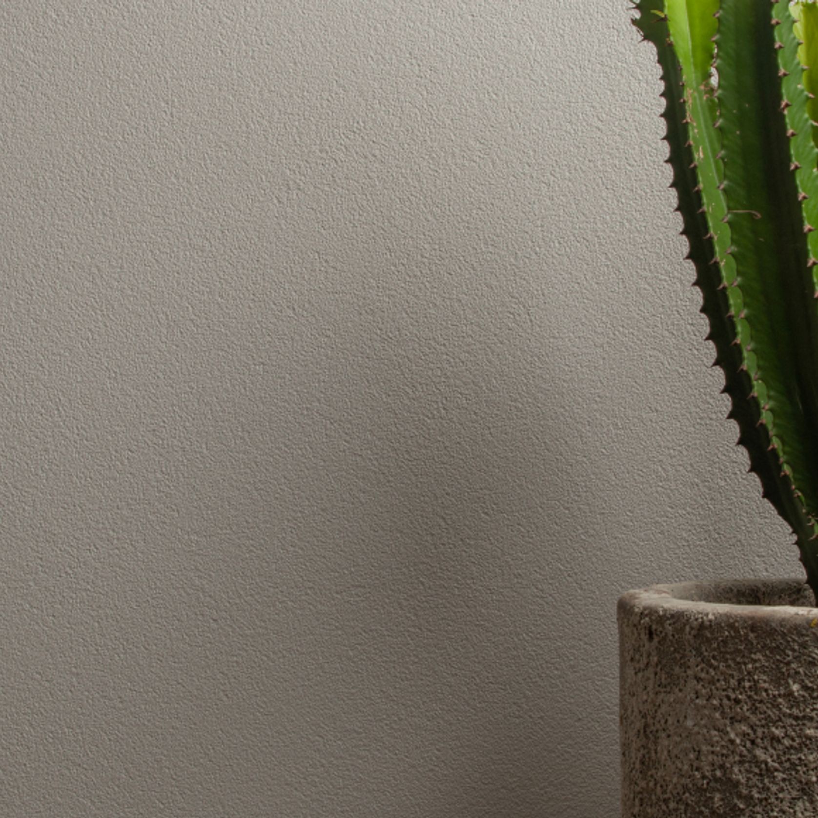 Tuscany Trowel On Coarse | Painted Textures gallery detail image
