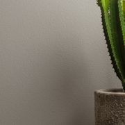 Tuscany Trowel On Coarse | Painted Textures gallery detail image
