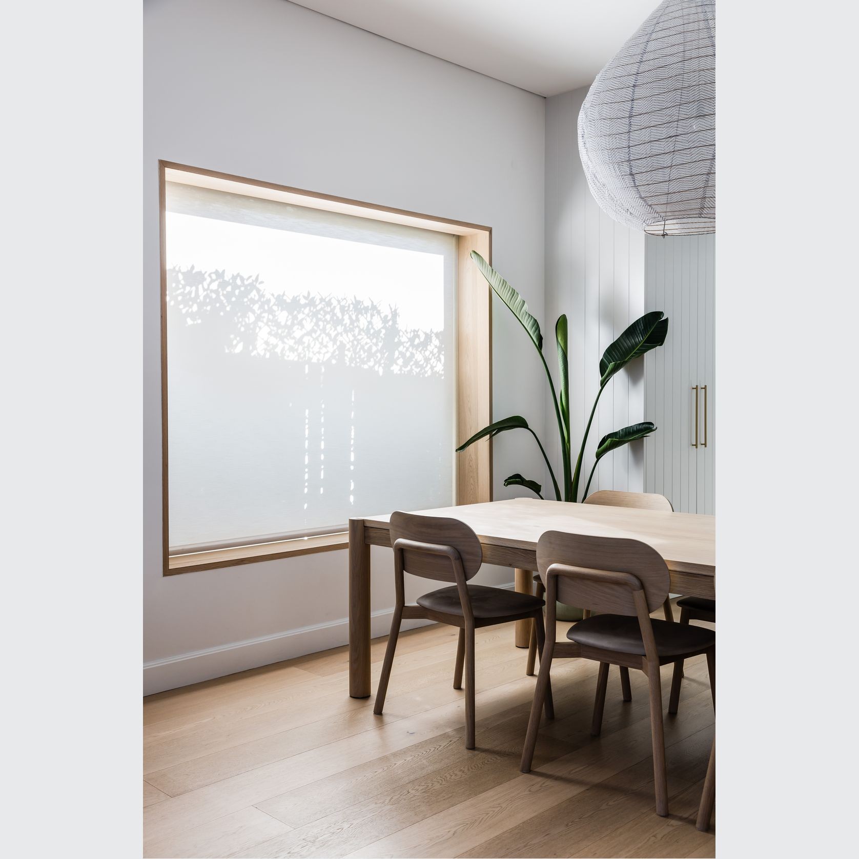 Blockout Roller Blinds | Blinds gallery detail image