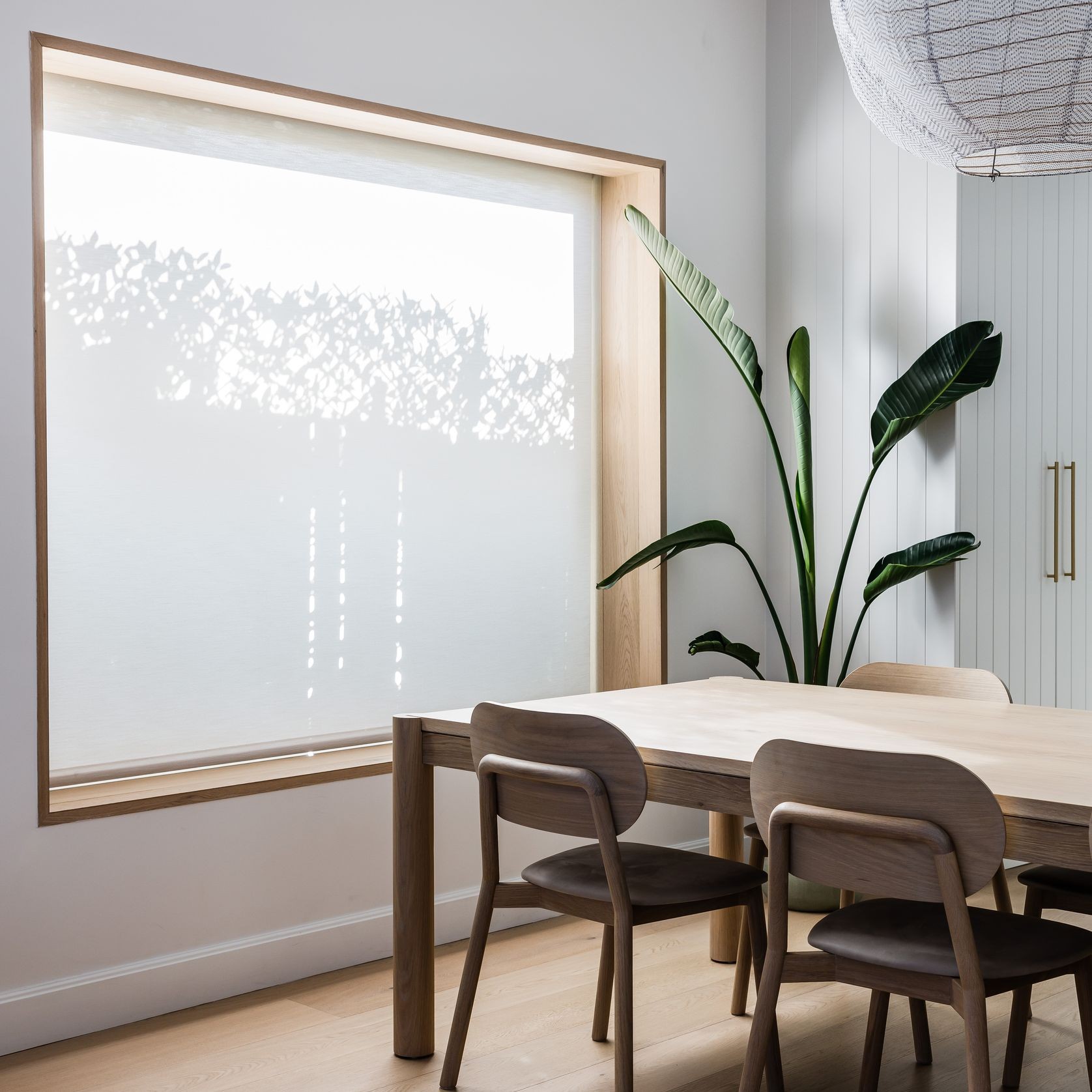 Blockout Roller Blinds | Blinds gallery detail image