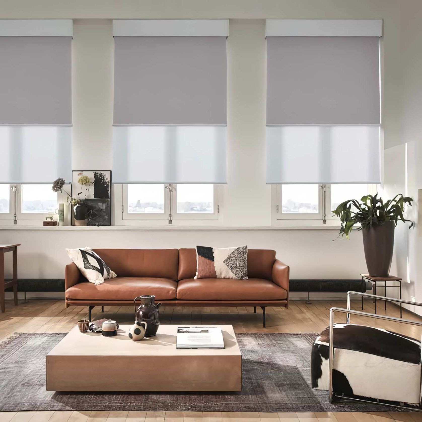 Roller Blinds & Sunscreens from Lahood gallery detail image