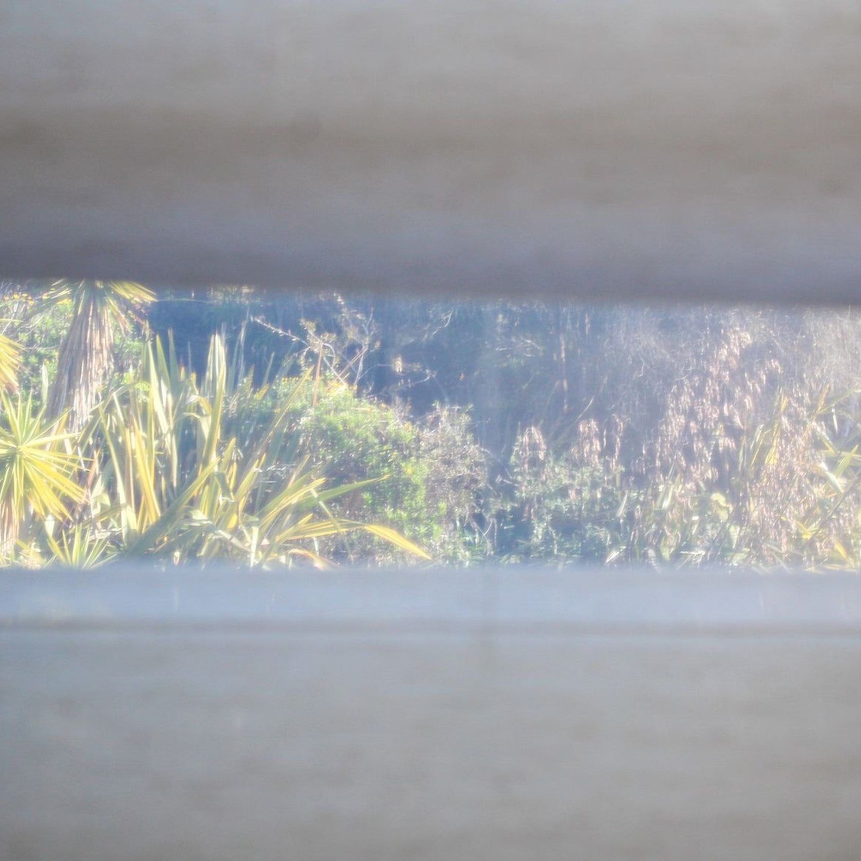 Meliso Roller Blinds gallery detail image