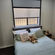 Indiana : Chainless Roller Blind gallery detail image