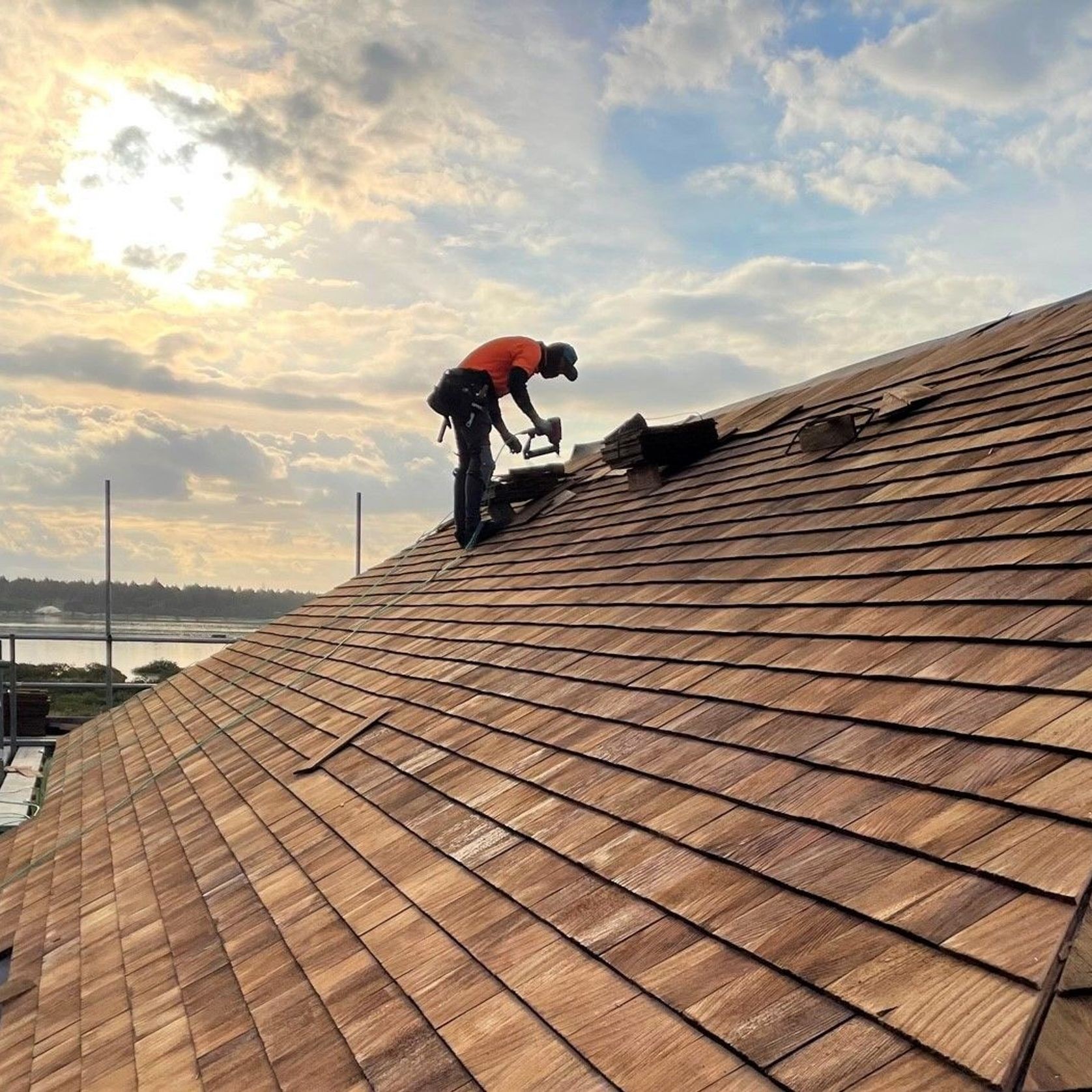 Cedar Shingles & Shakes Roofing ArchiPro NZ