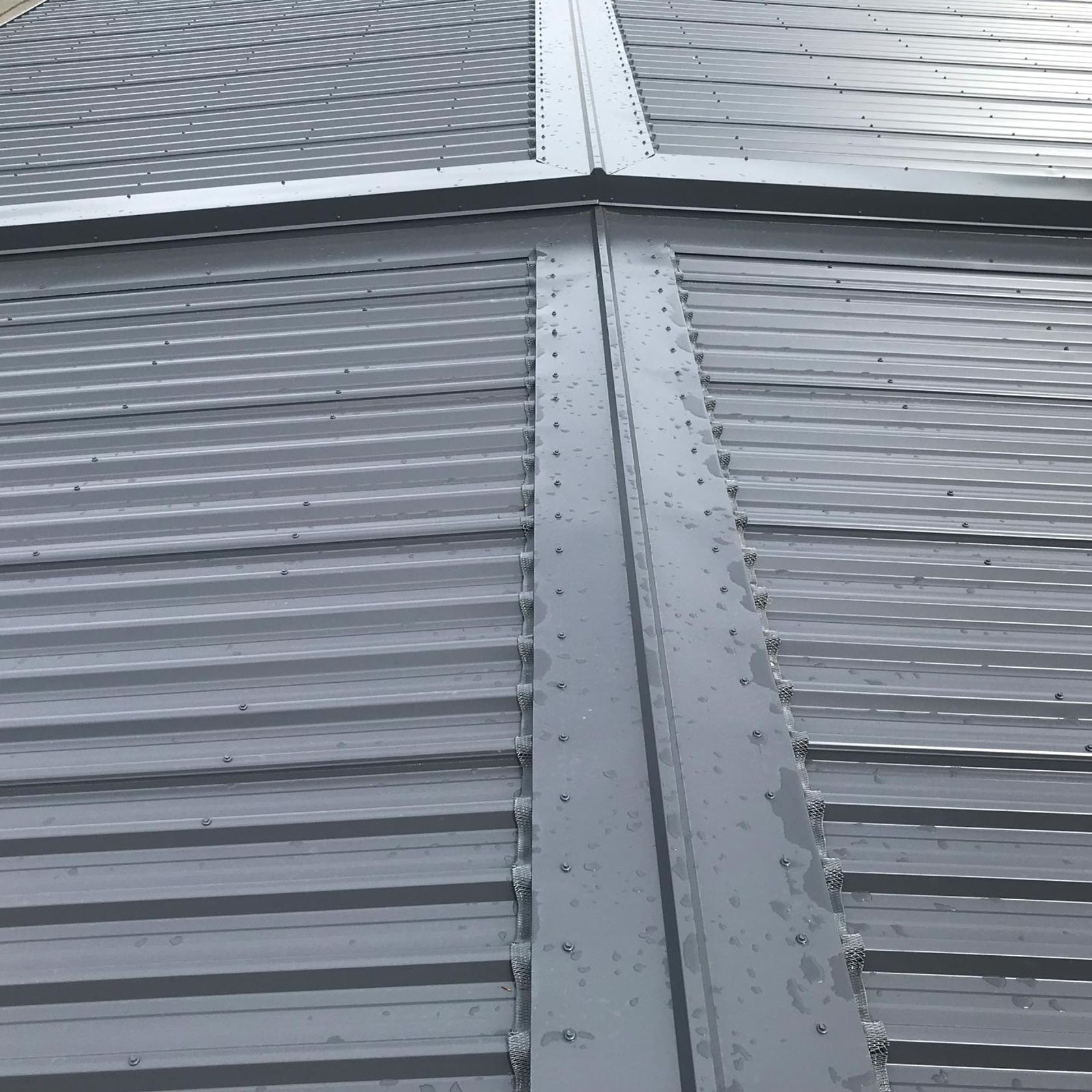 5 & 6 Rib gallery detail image