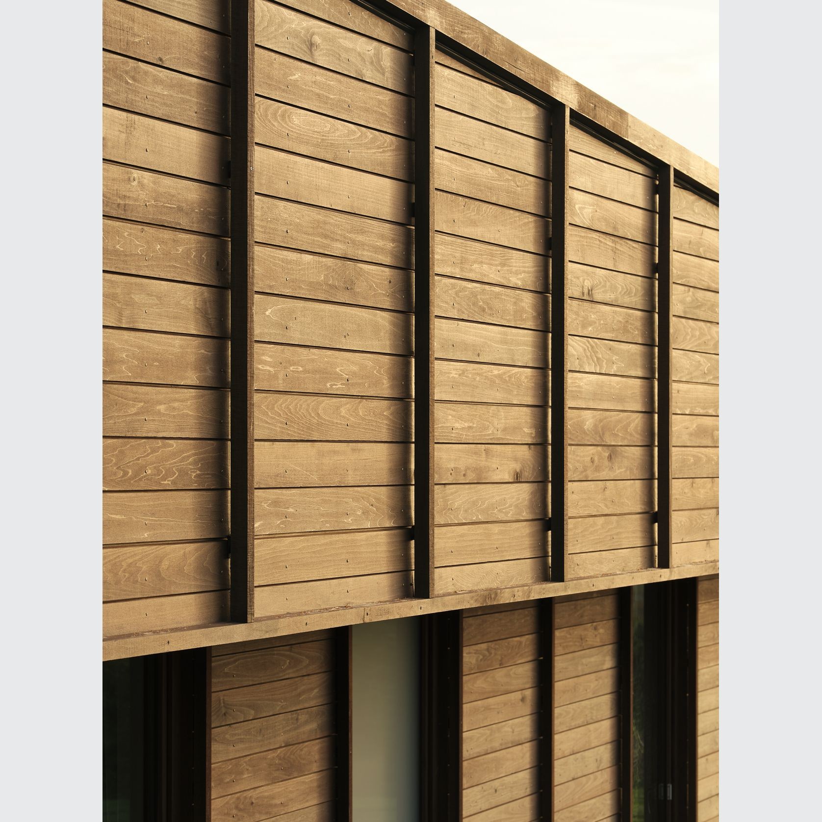 JSC TMT® Taxon gallery detail image