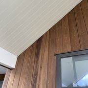 JSC TMT® Taxon gallery detail image