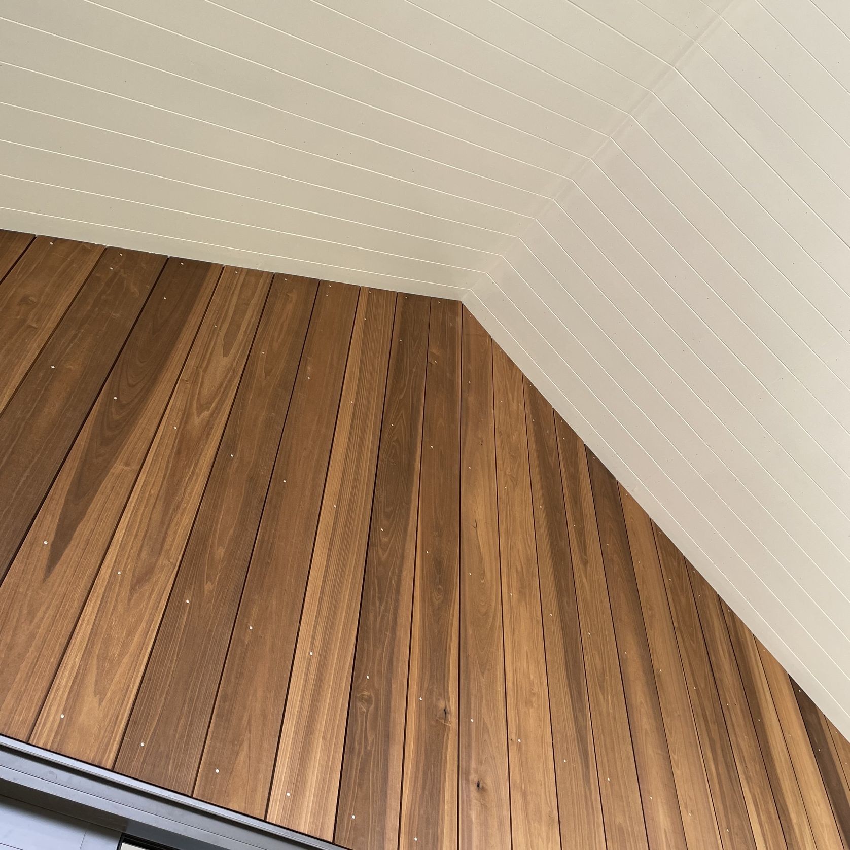 JSC TMT® Taxon gallery detail image