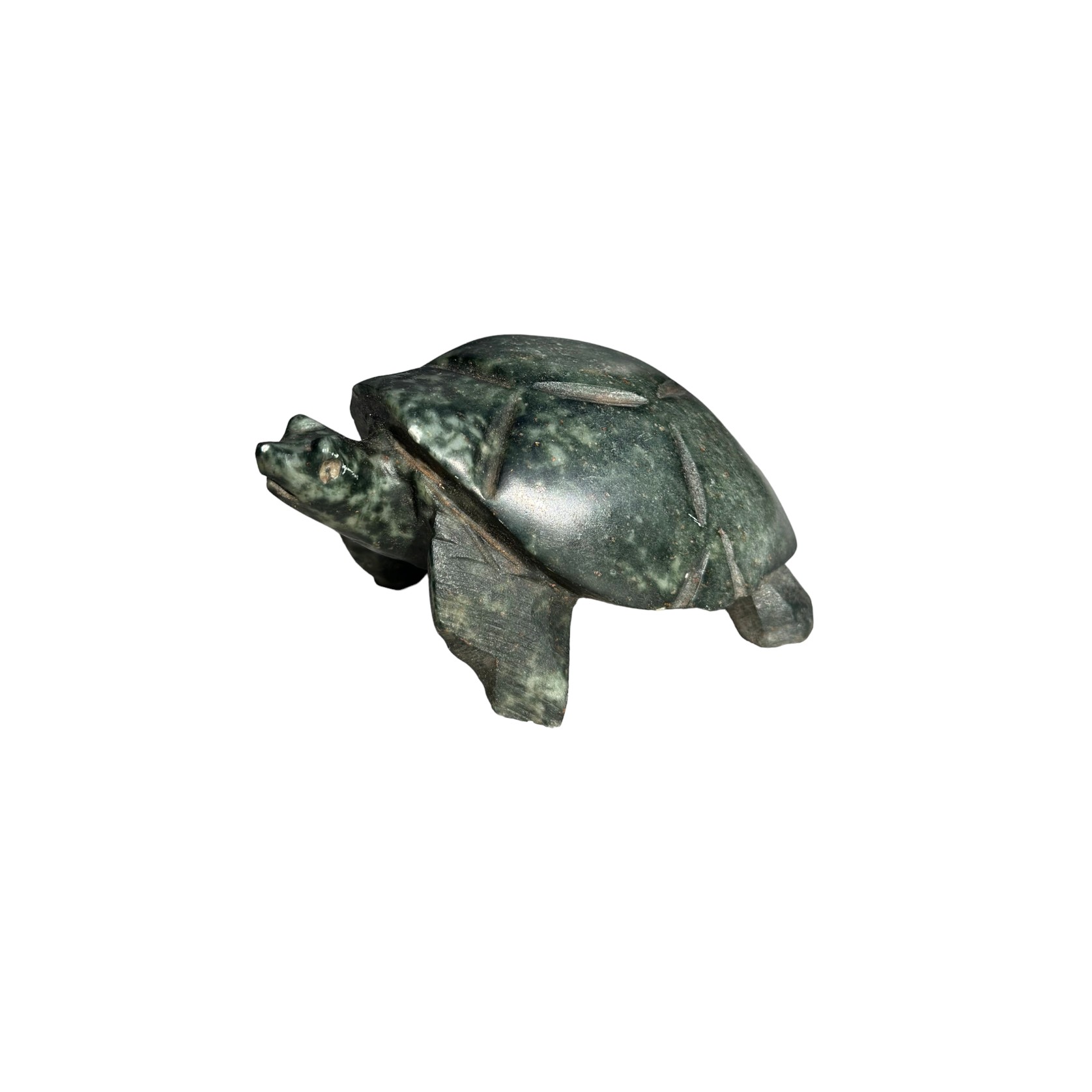 Kamba 2 Tortoise Green Sculpture gallery detail image