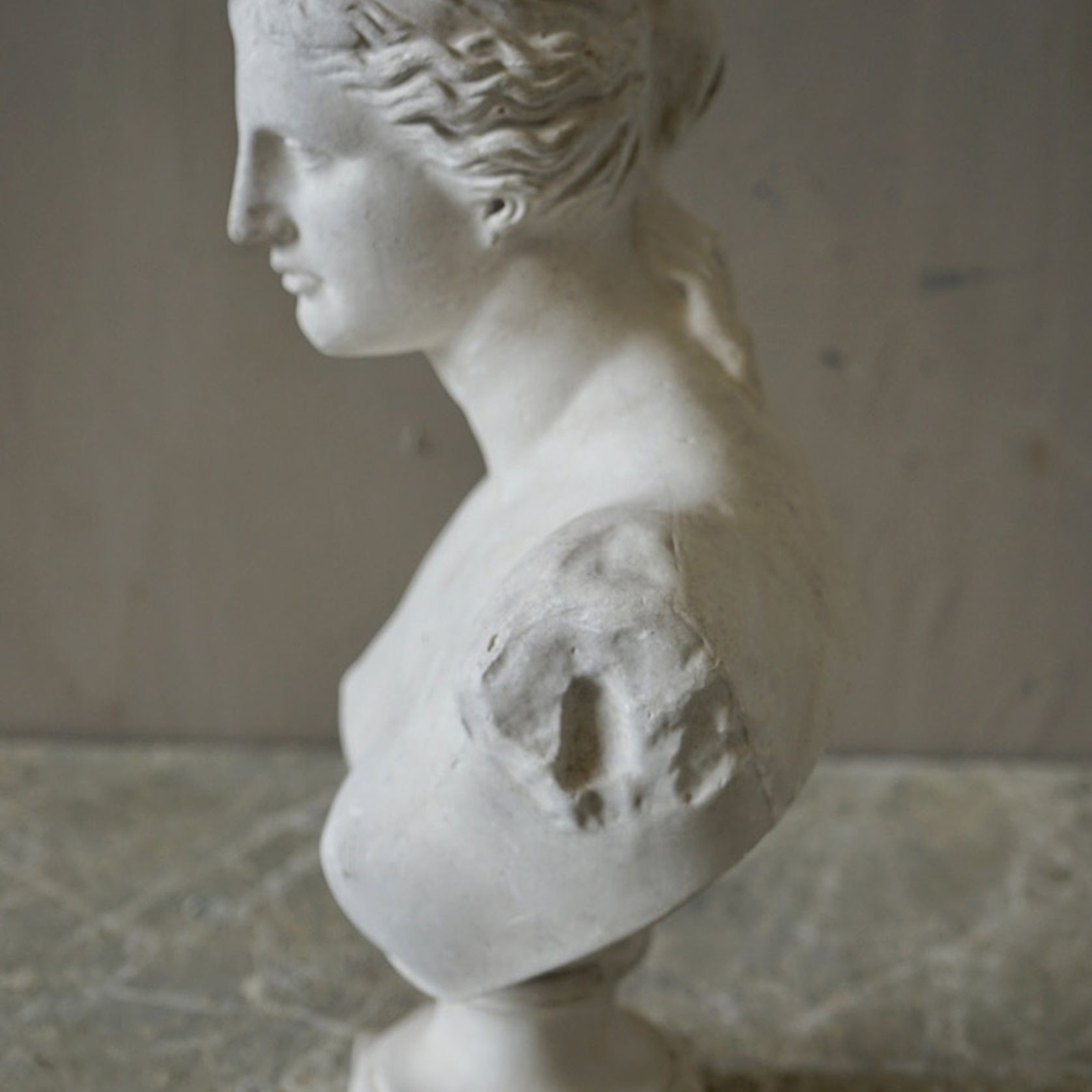 French Plaster Bust of Venus de Milo gallery detail image