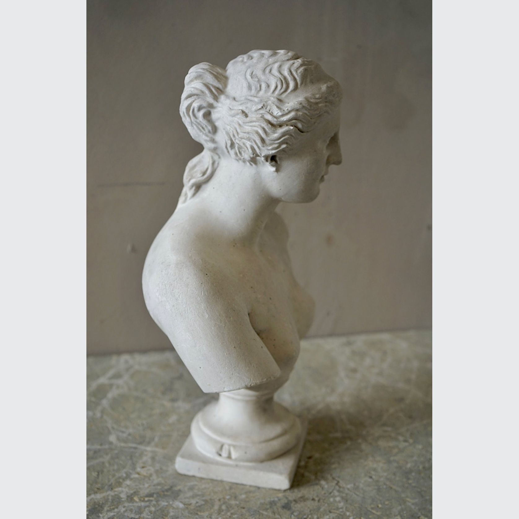 French Plaster Bust of Venus de Milo gallery detail image