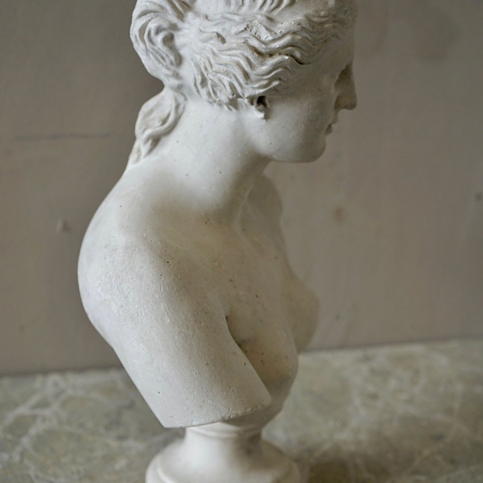French Plaster Bust of Venus de Milo gallery detail image