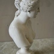 French Plaster Bust of Venus de Milo gallery detail image
