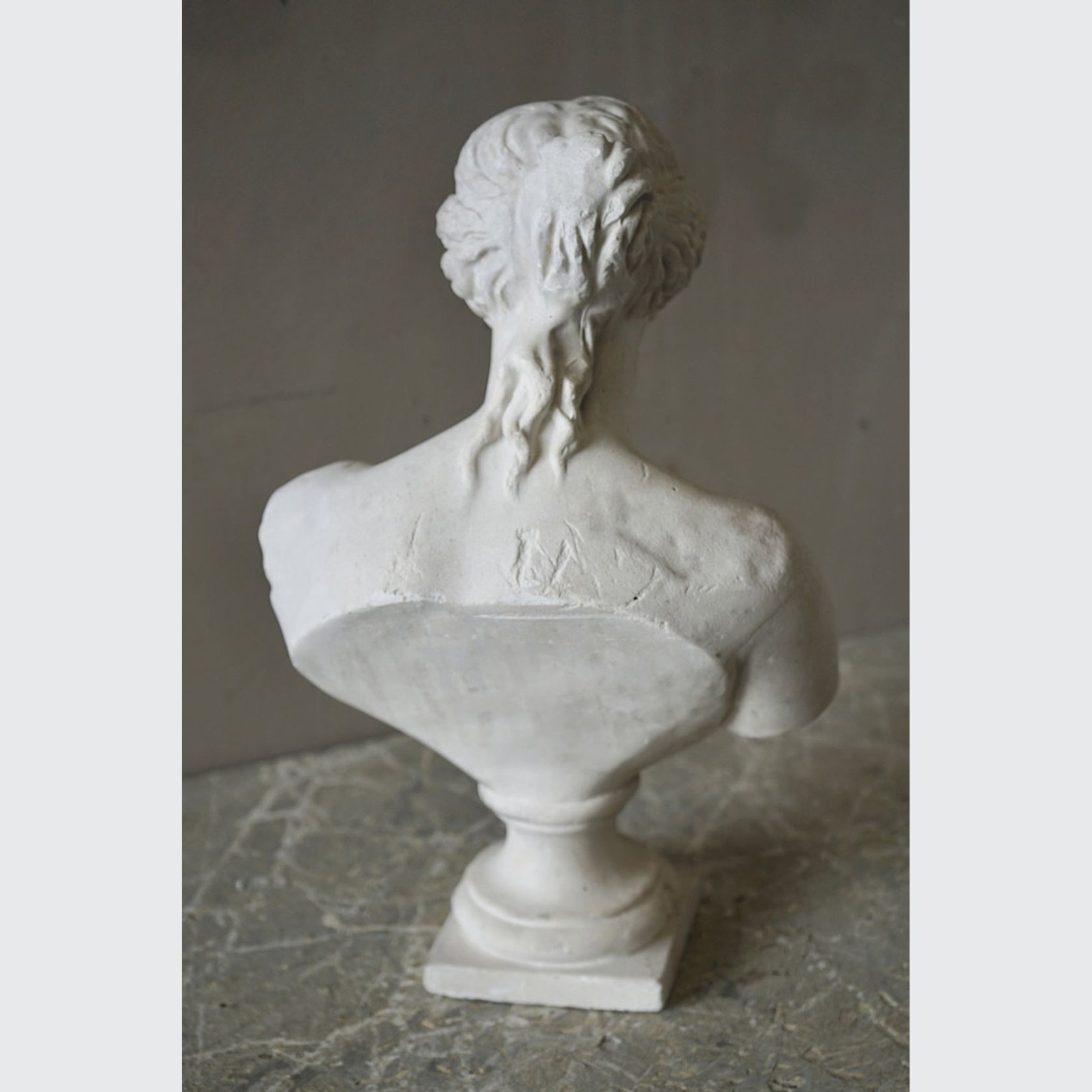 French Plaster Bust of Venus de Milo gallery detail image