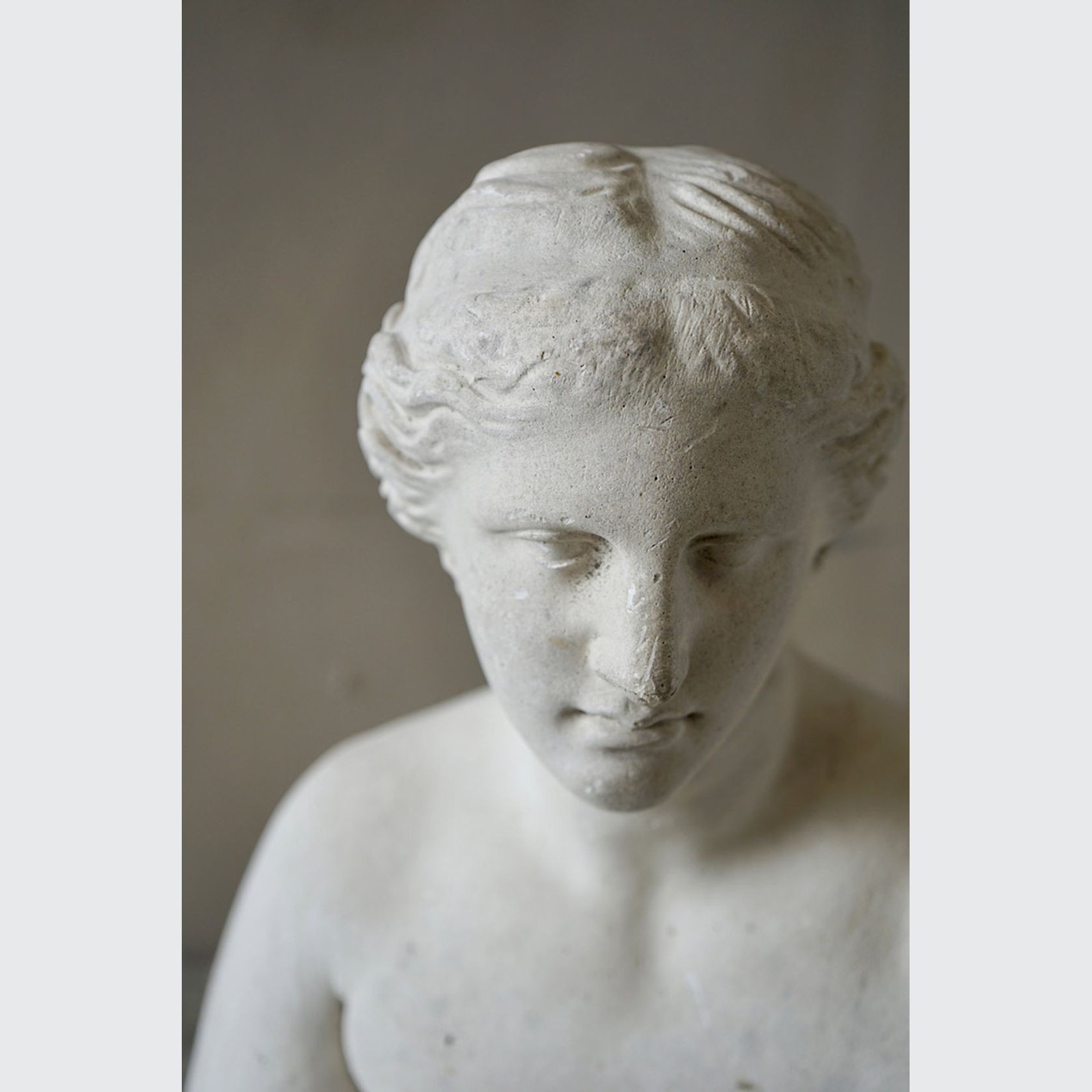 French Plaster Bust of Venus de Milo gallery detail image