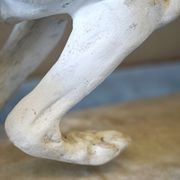 Antique French Dog Statue gallery detail image