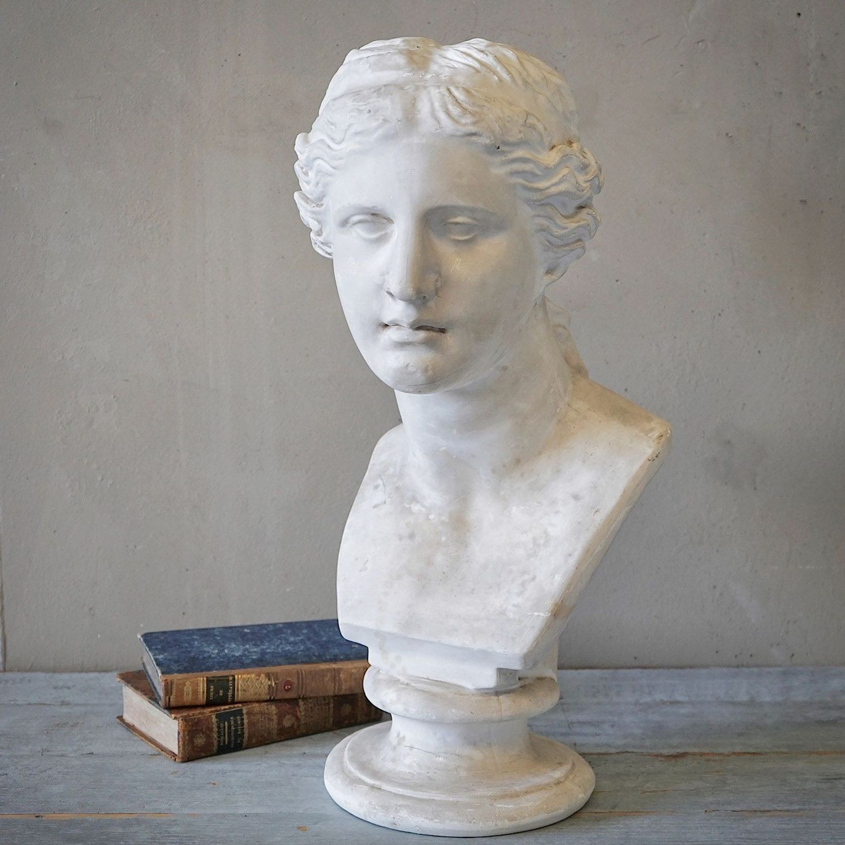 French Plaster Bust of Venus de Milo gallery detail image