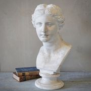 French Plaster Bust of Venus de Milo gallery detail image