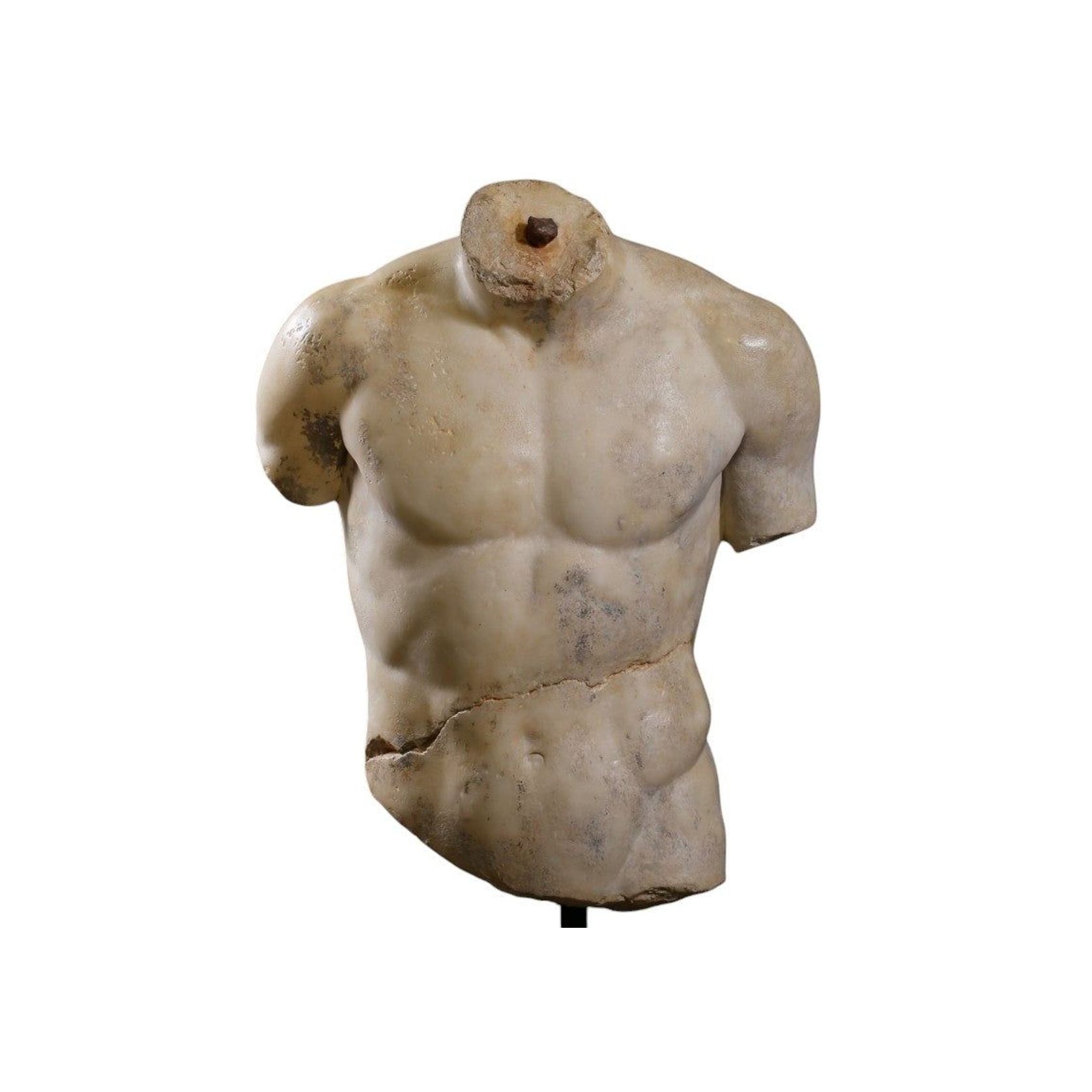 Torso Discophorus gallery detail image