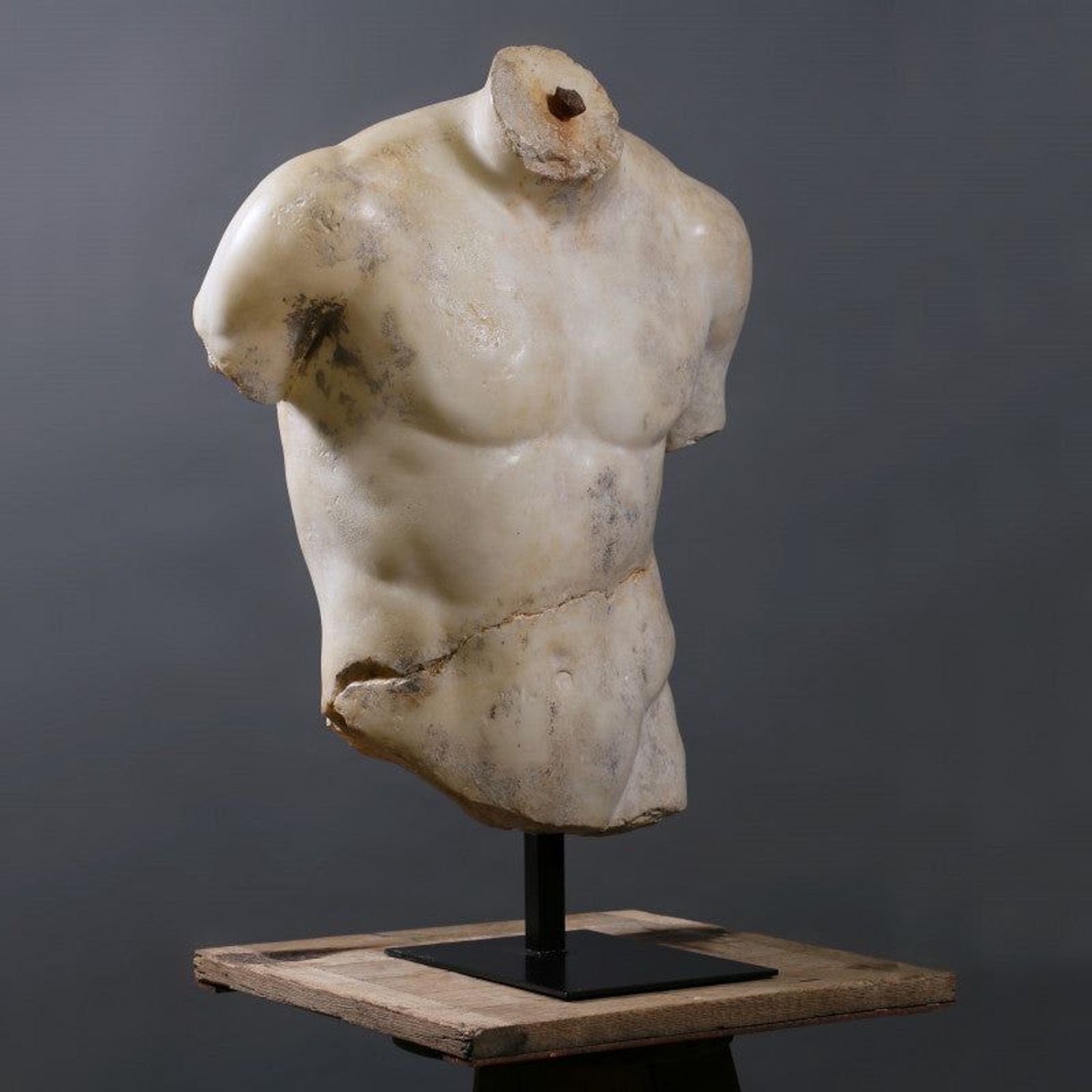Torso Discophorus gallery detail image