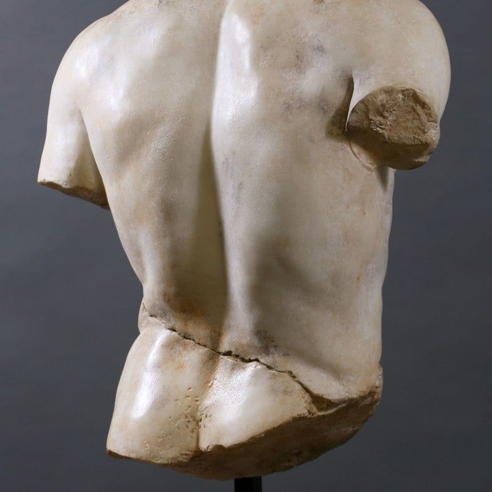 Torso Discophorus gallery detail image
