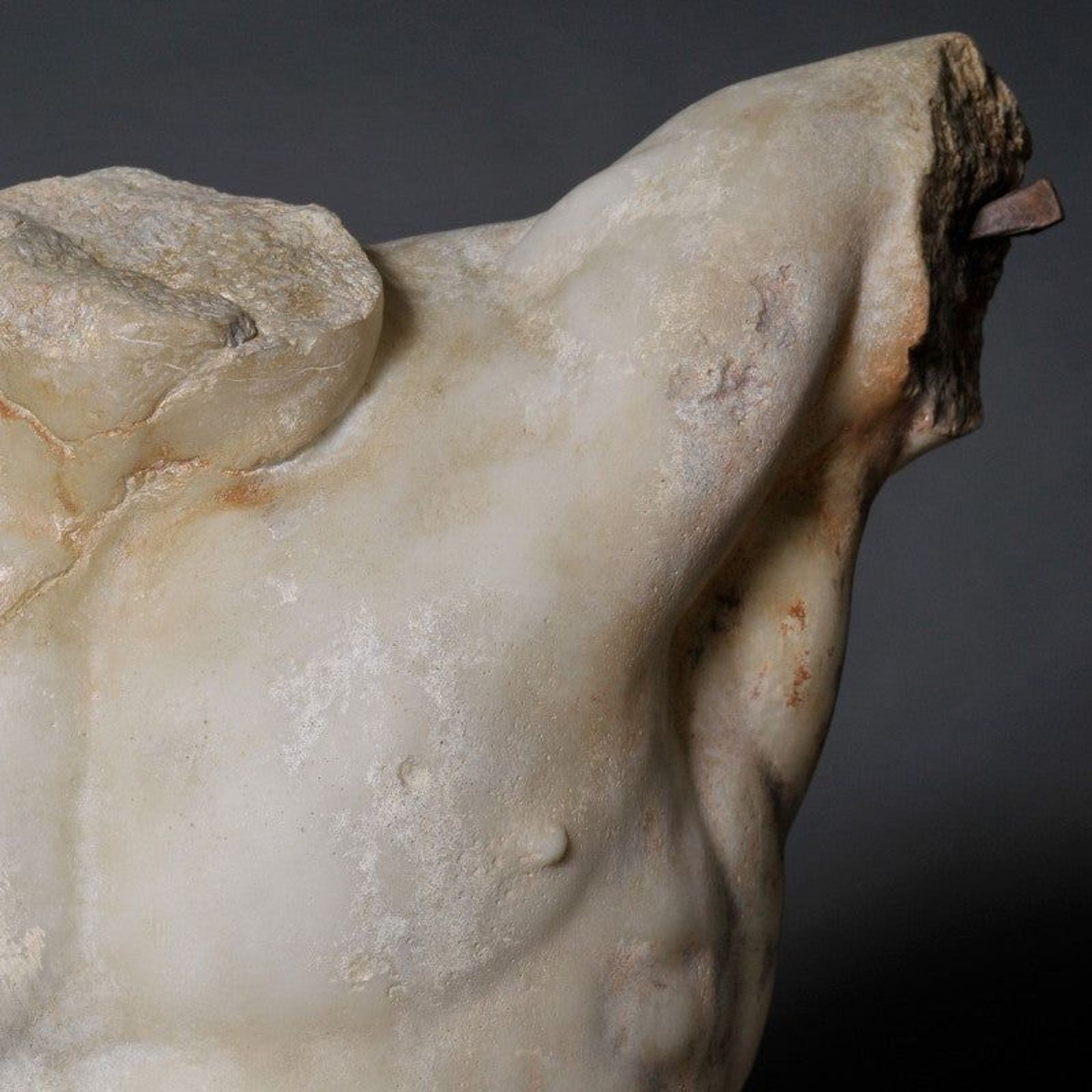 Fighting Gladiator (Agasias - Louvre) gallery detail image