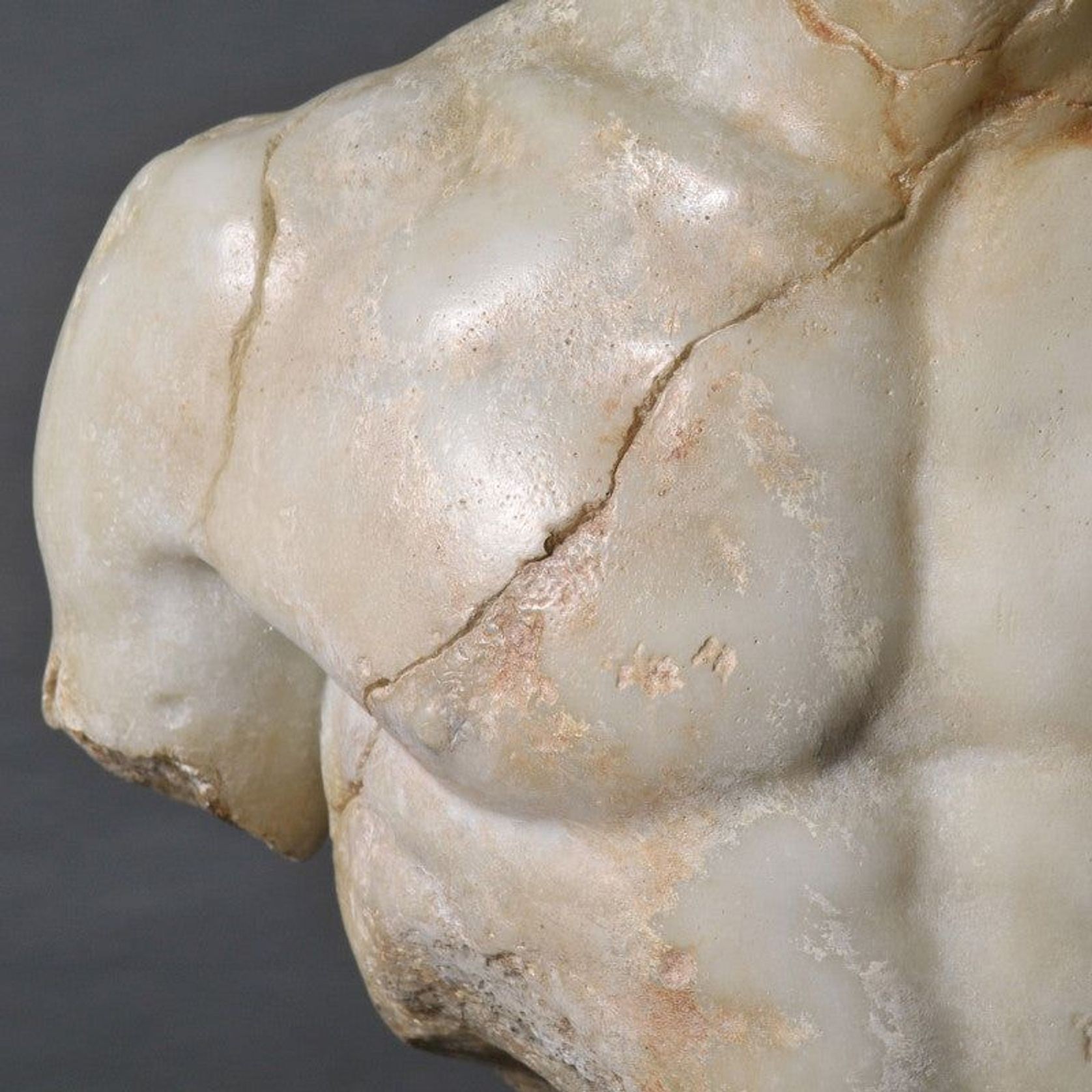 Fighting Gladiator (Agasias - Louvre) gallery detail image