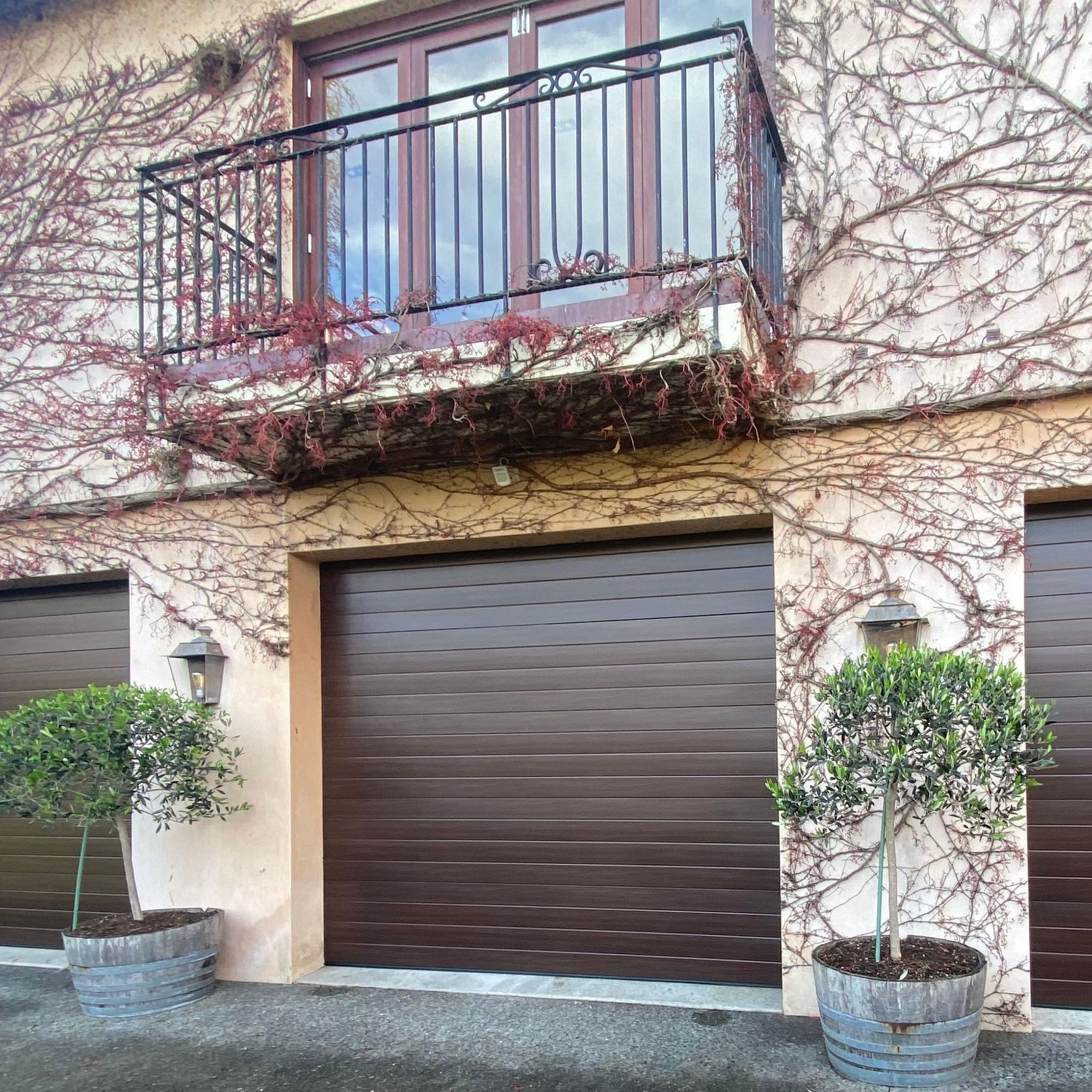 Dominator NatureSteel Garage Doors gallery detail image