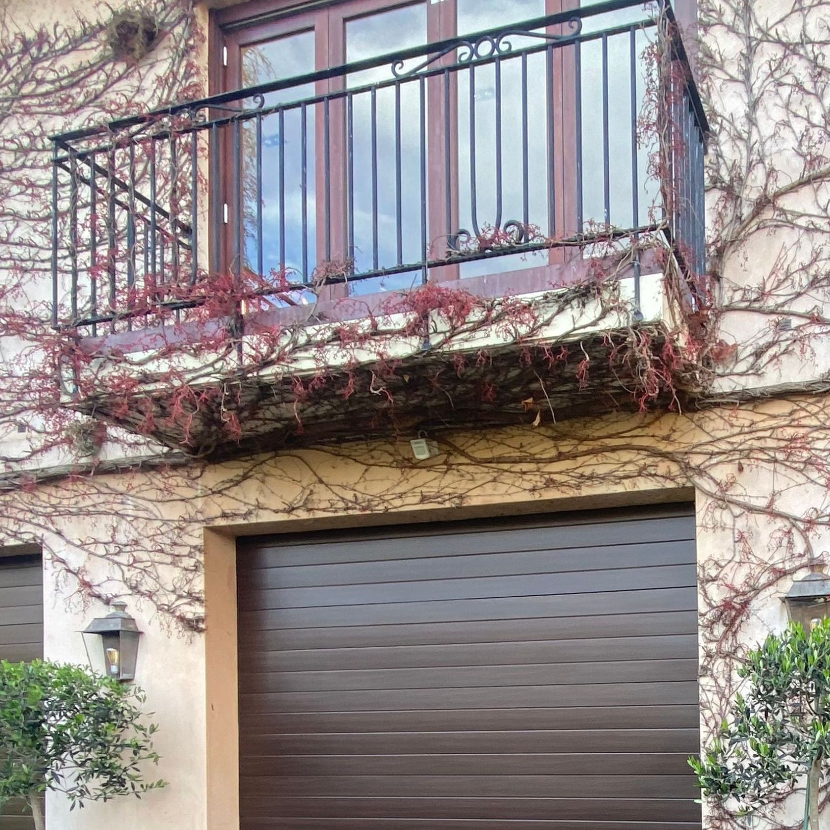 Dominator NatureSteel Garage Doors gallery detail image