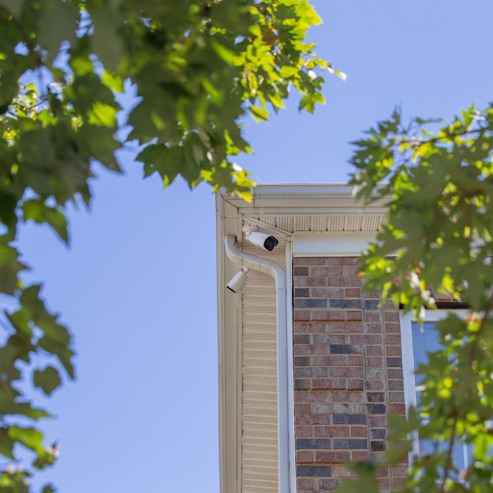 CCTV & Security gallery detail image