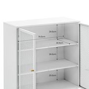 Mesh 2 Door Low Storage Cabinet | Matte White gallery detail image