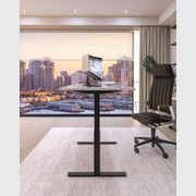 Custom Home Office Shelving Unit & Standing Desk gallery detail image