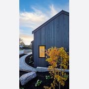 Cedar Cladding gallery detail image