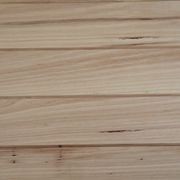 Blackbutt | Wood Elements Cladding gallery detail image