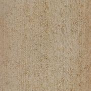 Cedar Cladding gallery detail image