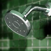 Kiri MKII Satinjet Low Flow Wall Shower Head gallery detail image
