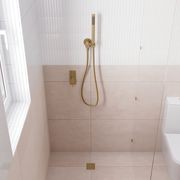 Isabella Hand Shower, Round Plate gallery detail image