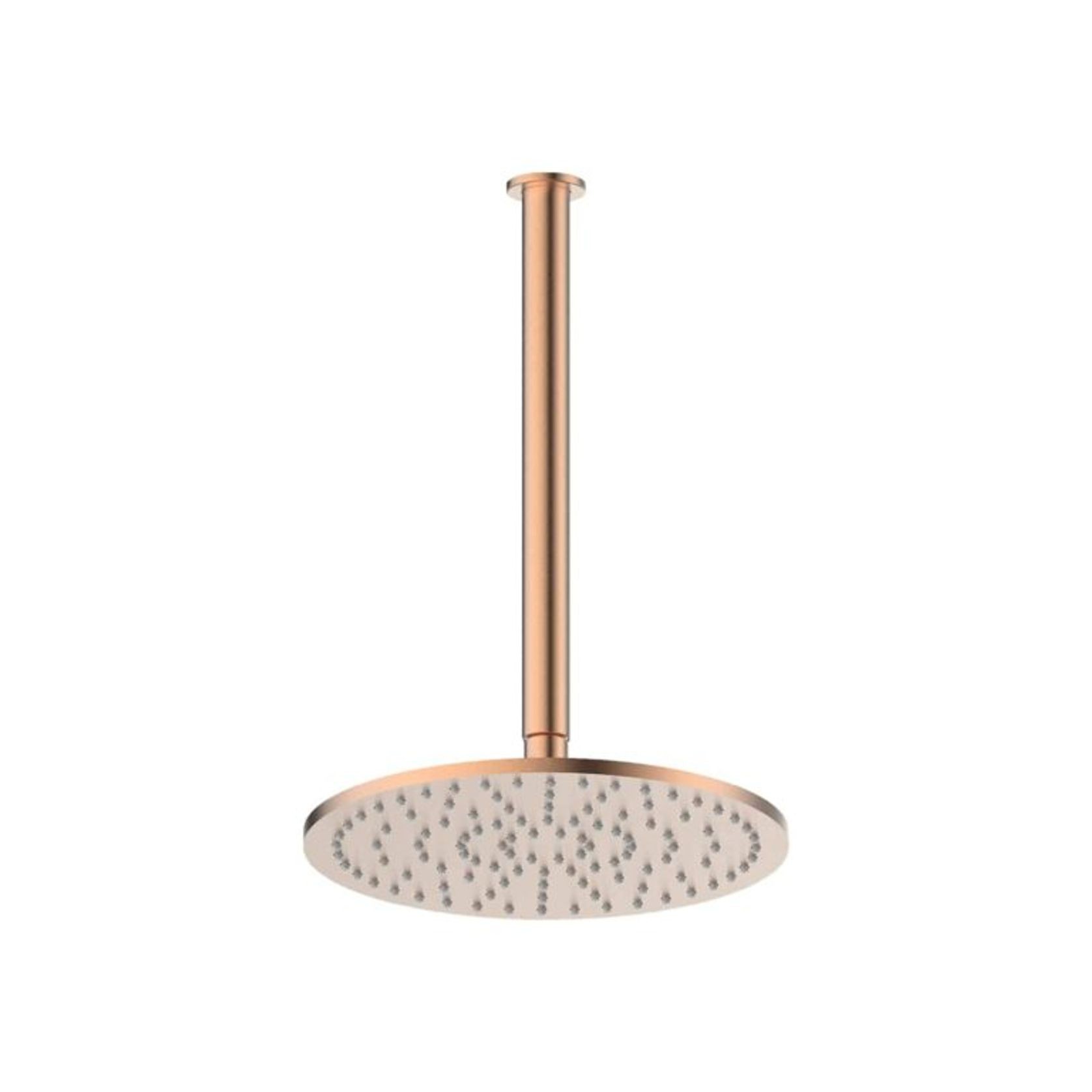 Textura | Gisele Ceiling Shower Head gallery detail image