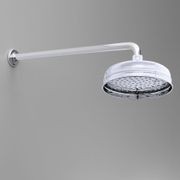 The Water Monopoly - Rockwell 450mm Shower Arm For Any Perrin & Rowe Rose gallery detail image